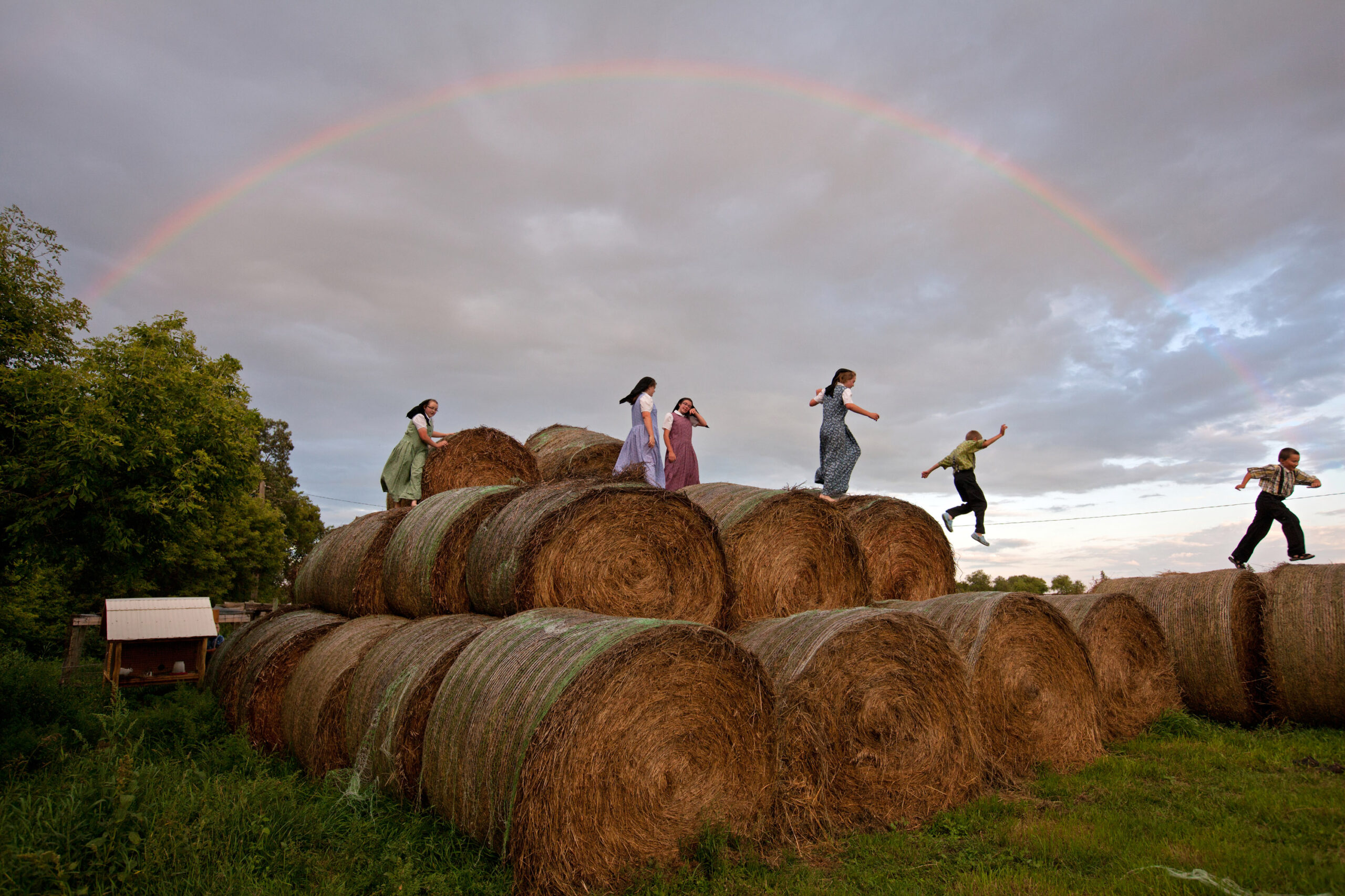 Editorial | Resilience, the festival theme of the 9th edition