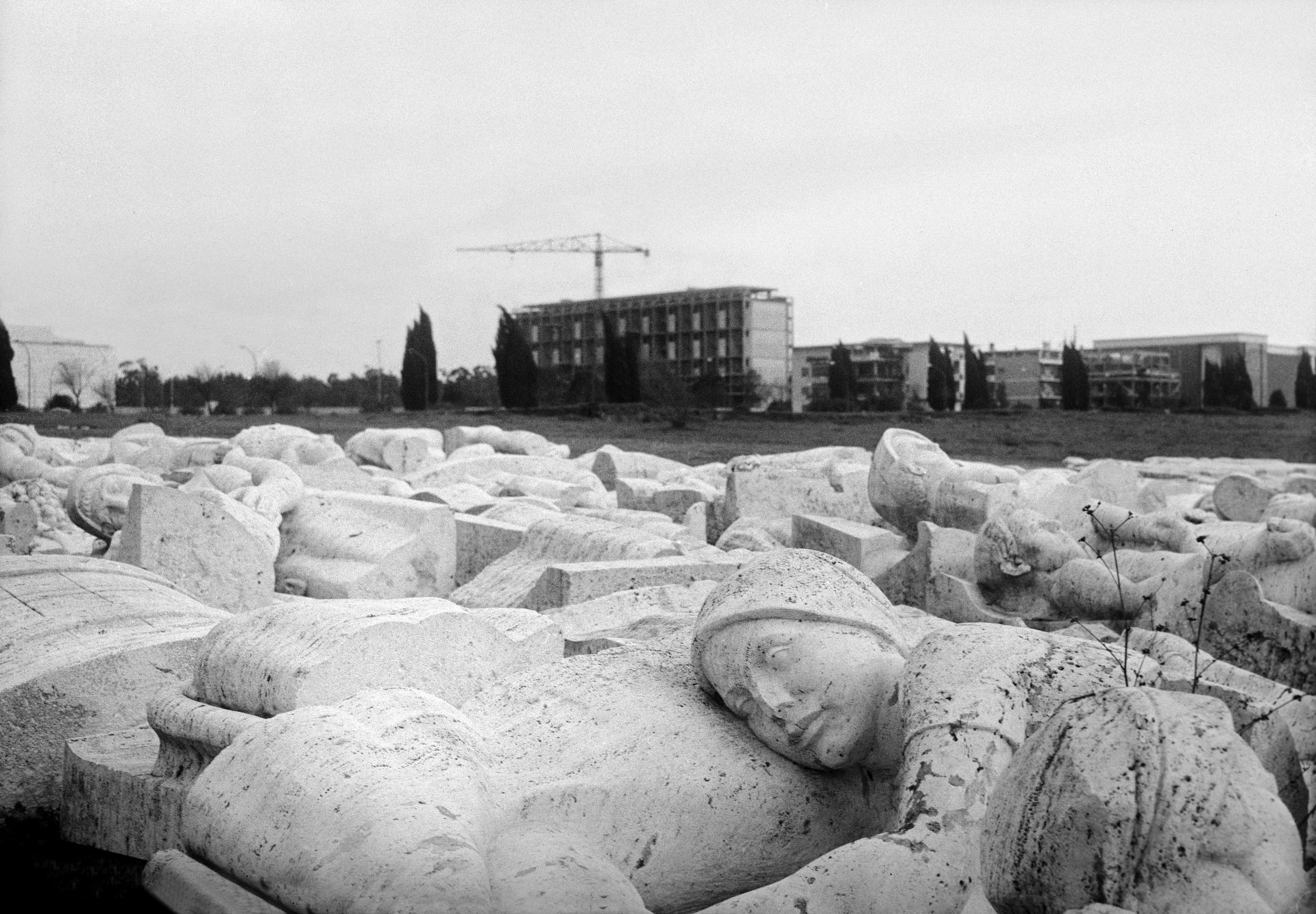 The Treasure of His Youth:The Photographs of Paolo Di Paolo